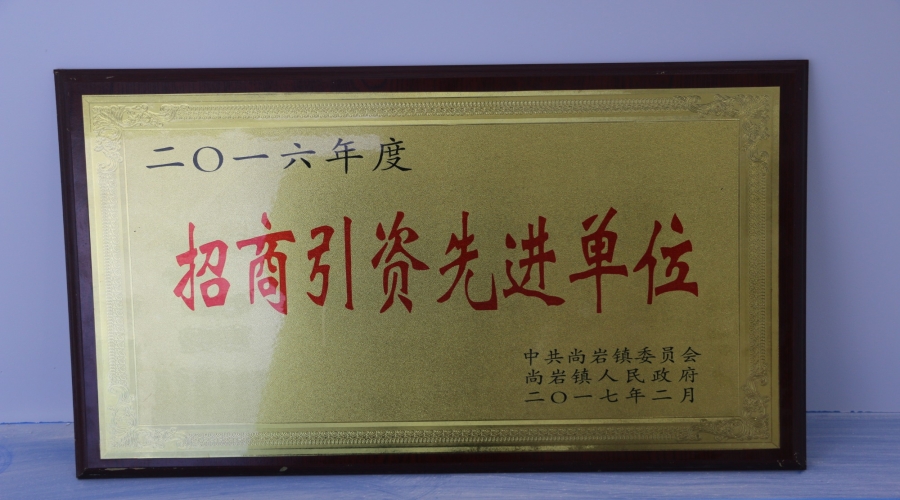 招商引资先进单位