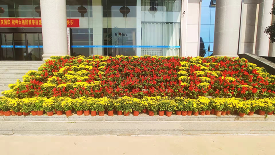 图片关键词 图片关键词