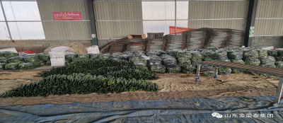 【爱心助农】多盈在线app网页登录爱心助农解忧愁 公益捐赠渡难关