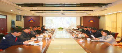 山东黄金集团考察组来多盈在线app网页登录考察合作