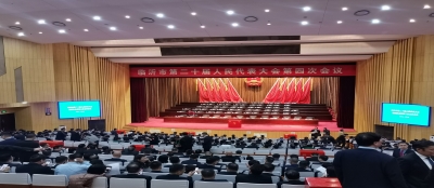 临沂市第二十届人民代表大会第四次会议召开,集团党委书记、总裁金成成参加会议并提交提案